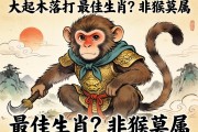 大起大落打一最佳生肖？非猴莫属