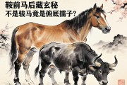 鞍前马后藏玄机，不是骏马，竟是俯首孺子牛？