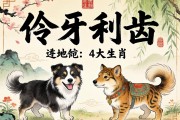 伶牙俐齿的4大生肖