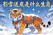 雪中送炭是什么生肖