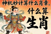 神机妙算是什么生肖