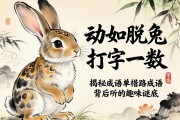 动如脱兔打一数字，揭秘成语背后的趣味谜底