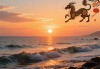 海面夕阳随波来打一生肖
