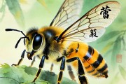 招蜂引蝶代表什么生肖