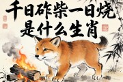 千日斫柴一日烧是什么生肖