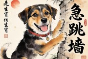 狗急跳墙是什么生肖