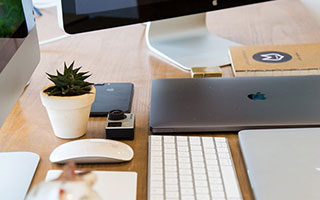 揭秘谜语，十子之上四中金所指的生肖